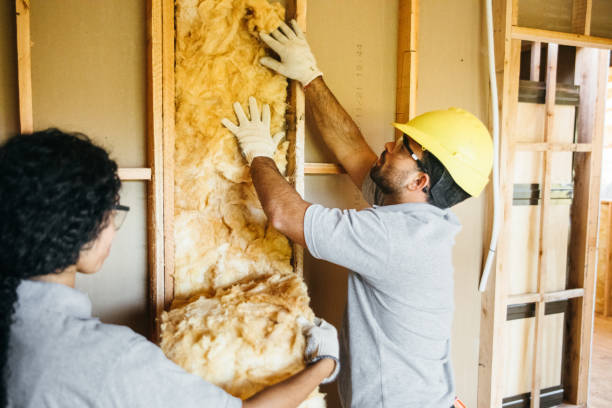 Insulation Air Sealing in Melbourne, AR