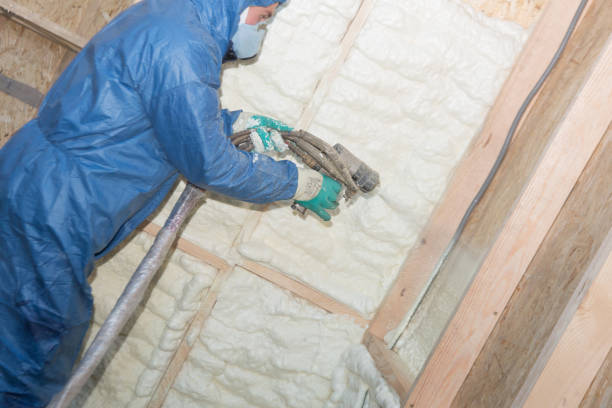 Best Batt and Roll Insulation  in Melbourne, AR